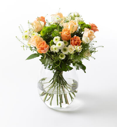 Frelsesarméen fersken, hvit og grønn Frelsesarméen fersken, hvit og grønn